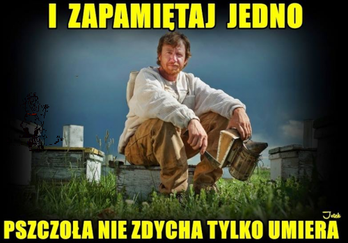 zapamiętaj