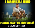 zapamiętaj